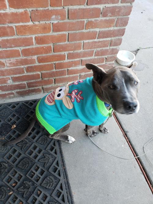 15:59:51 GMT-0800 (PST)