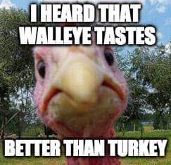 08:07:52 GMT-0600 (CST)