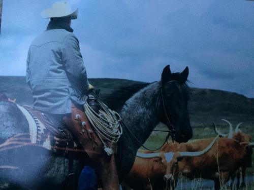 09:11:10 GMT-0700 (MST).image