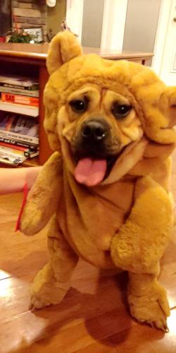 11:05:39 GMT-0500 (EST)