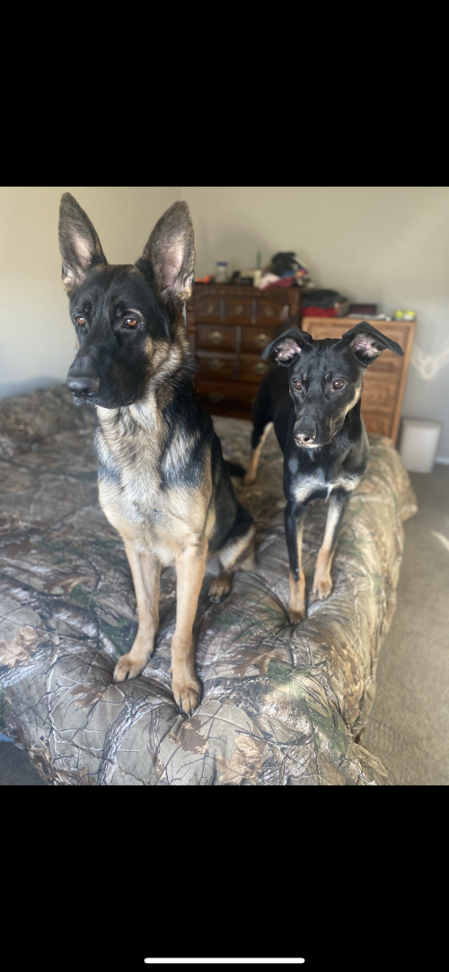 14:30:26 GMT-0700 (MST).image