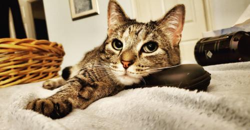 01:26:45 GMT-0500 (EST)