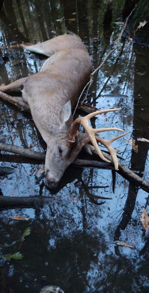 received_363885645028604