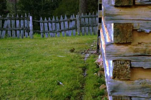 09:58:05 GMT-0600 (CST)