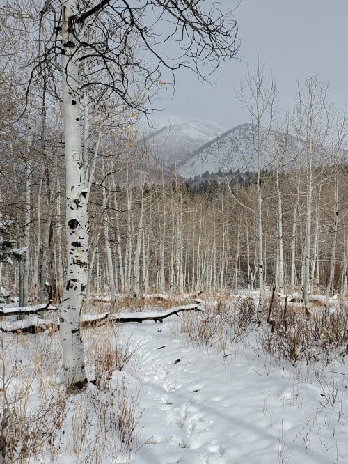 13:13:45 GMT-0700 (MST)