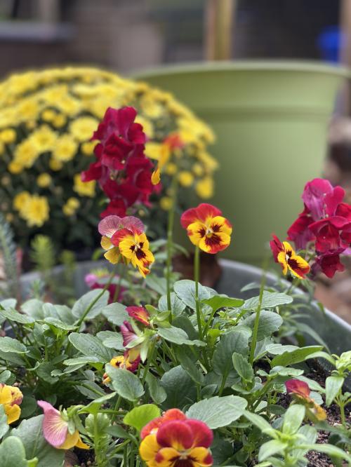 06:22:01 GMT-0600 (CST).image