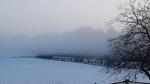 87455614_10206855179214471_2689694995350290432_n