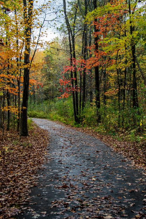 07:52:20 GMT-0600 (CST).image