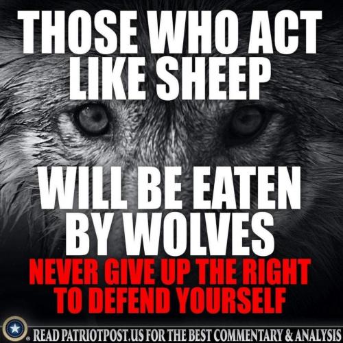 11:42:29 GMT-0600 (CST)