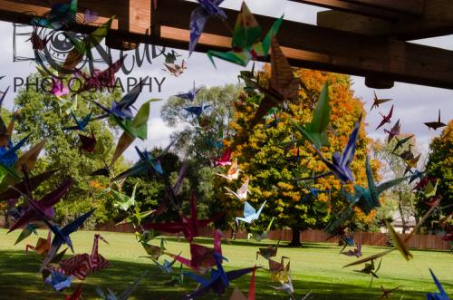 Cory and Angela Wedding 2015 (61 of 583)