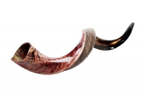 shofar