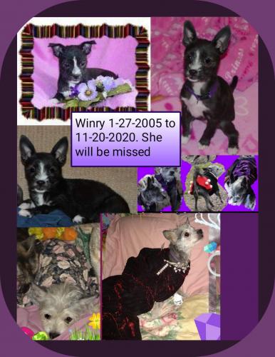 06:56:00 GMT-0600 (CST)