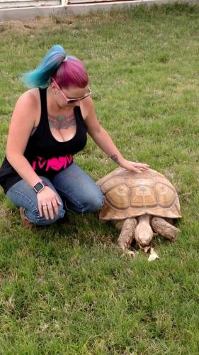 16:14:31 GMT-0600 (CST)