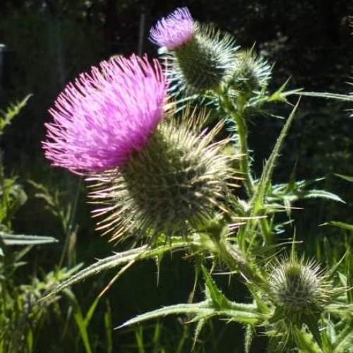 df7fb14df383a29ad2ac9907a68a5f59