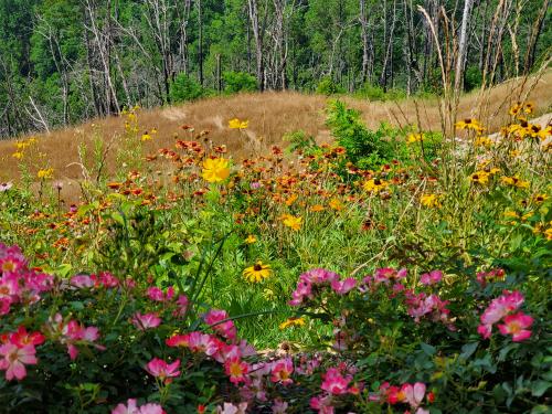 14:51:33 GMT-0600 (CST)