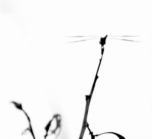 15:02:36 GMT-0600 (CST).image