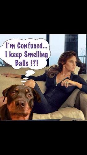 16:58:26 GMT-0600 (CST)