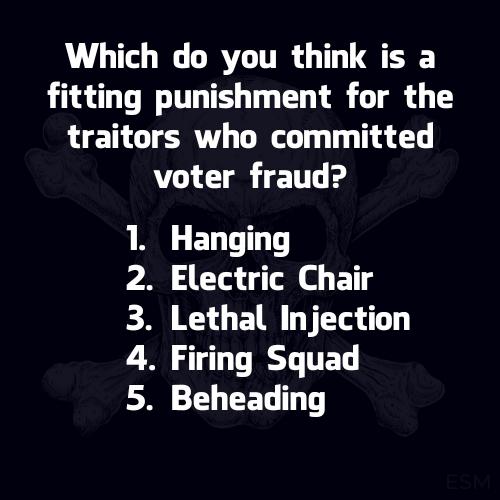 Voter Fraud Punishment