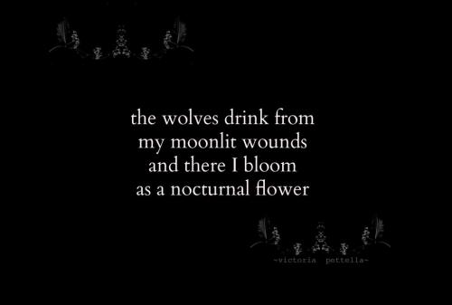 tumblr_73cdee2e4aa0bebabcc6e9d948fdeaea_382b326c_2048