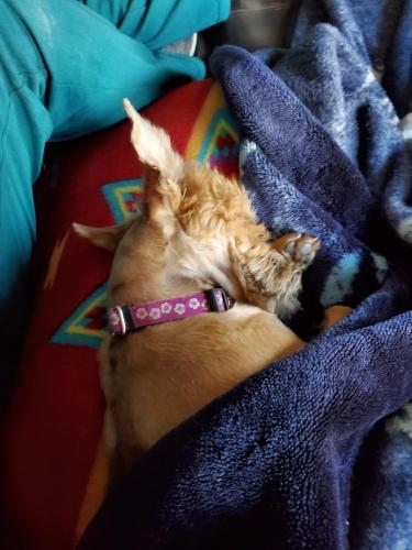 16:36:47 GMT-0800 (PST)