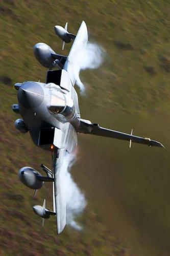 125464493_3510755362343992_6798370127450567305_n