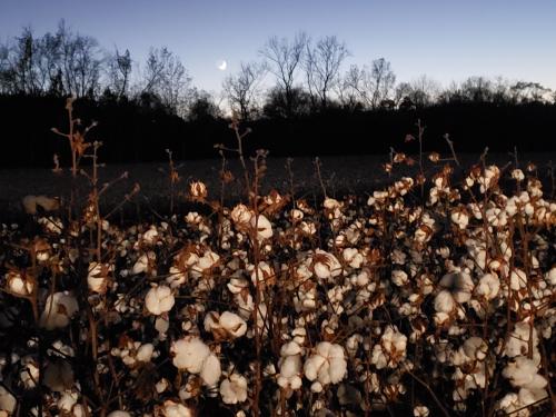 12:12:27 GMT-0500 (EST)