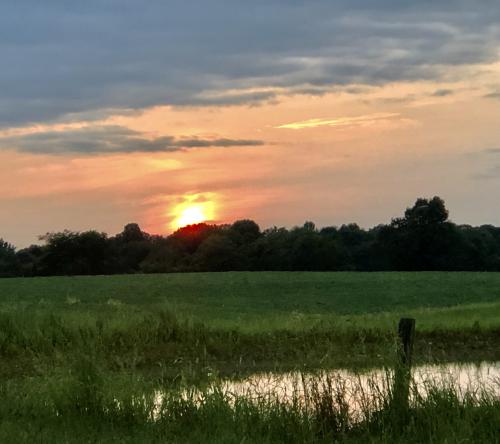 12:33:08 GMT-0600 (CST).image