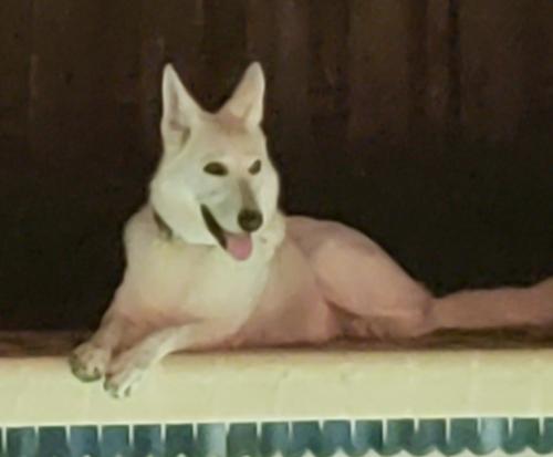 21:25:42 GMT-0500 (EST)