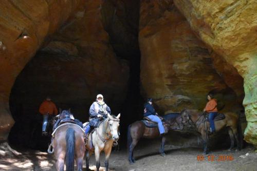 15:29:18 GMT-0500 (EST)