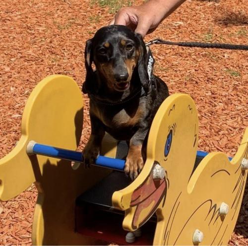 18:45:40 GMT+0100 (WAT).image