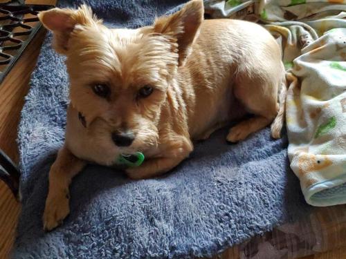 16:36:47 GMT-0800 (PST)