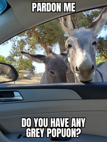 13:22:17 GMT-0800 (PST)