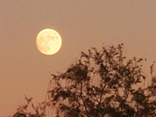 15:06:59 GMT-0800 (PST)