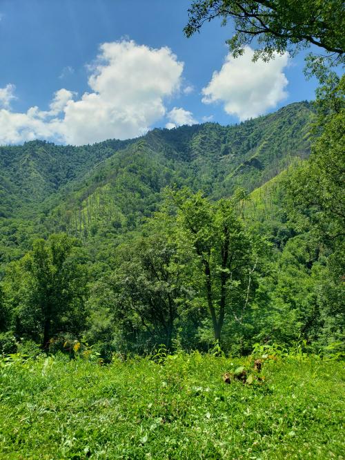 17:32:07 GMT-0500 (EST)