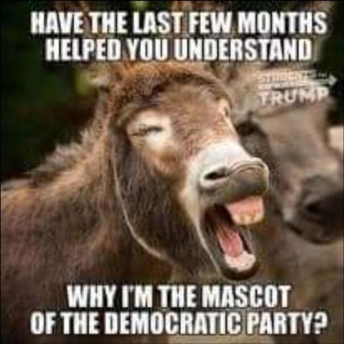 Democratic Party mASScot