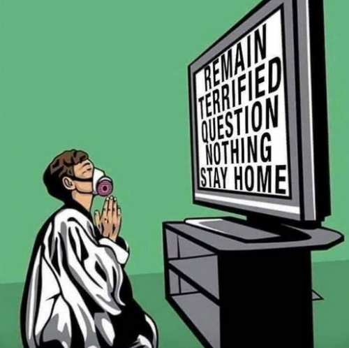 tumblr_24072bcab7aa09af616418eb21784ded_1e56bc4d_540