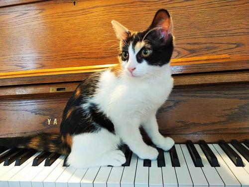 118943552_10159993541969008_1526879185716624769_n (2)