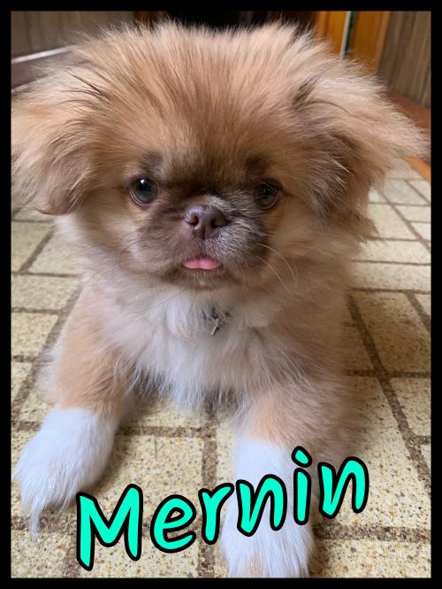 18:07:06 GMT-0600 (CST).image