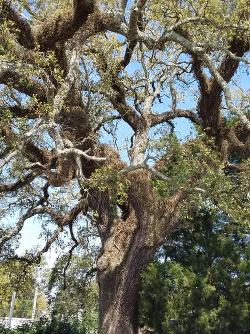 04:03:39 GMT-0600 (CST)