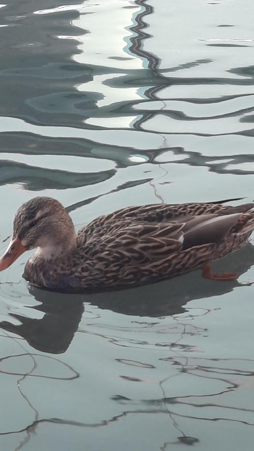 11:01:15 GMT-0800 (PST)