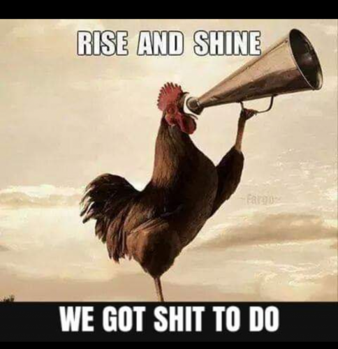 08:12:15 GMT-0500 (EST)