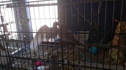 19:20:56 GMT-0600 (CST)