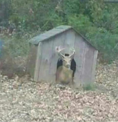 Screenshot_2019-12-19-19-05-54-1