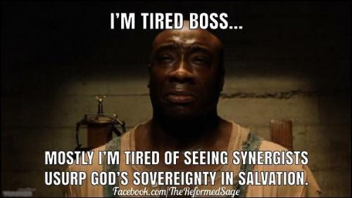 2018-09-03 17.40.26 1860546321858182523_5403409862