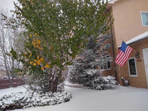 123136888_10113775053090000_1553125741139088039_o