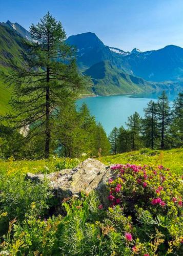 tumblr_osrcyhdmFS1szm930o1_540