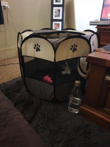 14:47:13 GMT+1100 (AEDT)