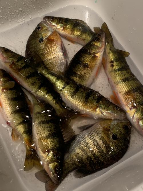 22:22:52 GMT-0600 (CST).image