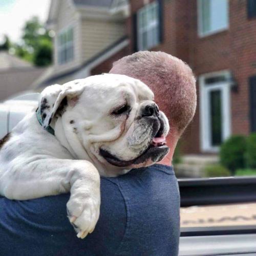 11:53:50 GMT+0100 (WAT).image