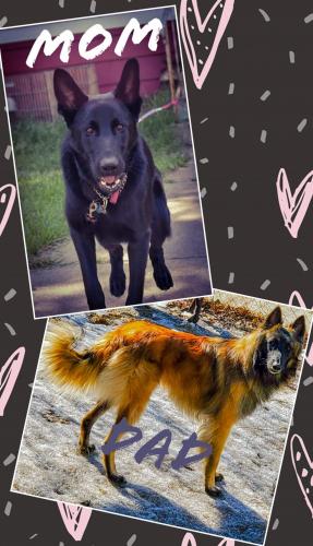 20:14:48 GMT-0600 (CST)